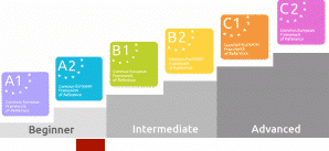 Dutch courses Amsterdam