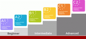 Niveaus A0 tot C2 voor de Nederlandse privélessen