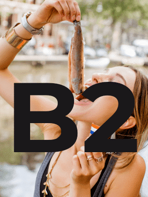 Dutch B2 level needed for Inburgering staatsexamen NT2 2