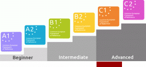 C1 niveau Nederlands CEFR niveaus Nederlandse taal